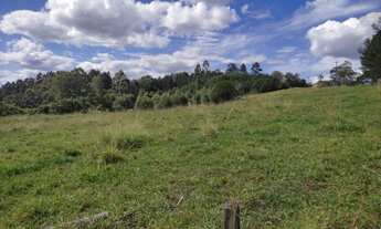 Imagem 5: Sítio / Chácara para Venda em Nova Petrópolis, São Jacó