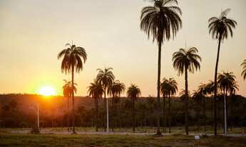 Imagem 3: Oportunidade Única Lote em Condomínio Centro da Serra do Cipó