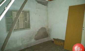 Imagem 2: São Paulo - Terreno Padrão - Vila Formosa