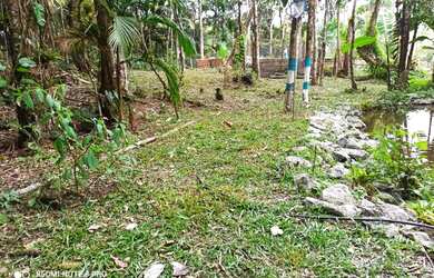 Imagem 6: Rancho campestre com lago proprio 197 mil reais