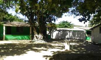 Imagem 4: Sítio +- 10.000 mtrs de terreno em Tingua