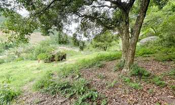 Imagem 3: FLORIANóPOLIS - Terreno Padrão - Santo Antônio de Lisboa