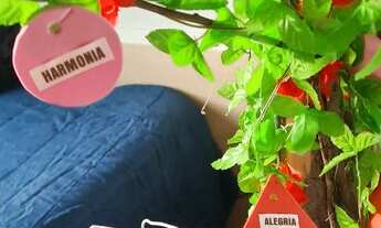 Imagem 5: Venda apartamento ilha do Cabral