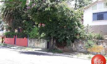 Imagem 5: São Paulo - Terreno Padrão - Tremembé