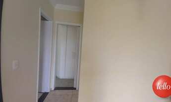 Imagem 6: São Paulo - Apartamento Padrão - Vila Matilde