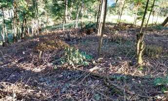 Imagem: Terreno 4700 m2