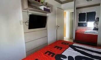 Imagem 3: Pedras do bosques