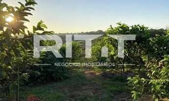 Imagem 4: Casa - Reforma Agrária - Valinhos