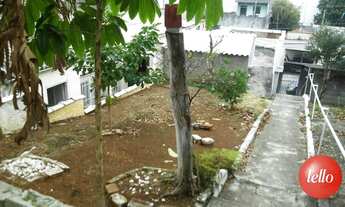 Imagem 2: São Paulo - Terreno Padrão - Água Rasa