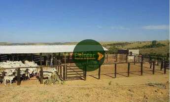 Imagem 5: Fazenda à venda, 1936000 m² por R$ 8.000.000,00 - Área Rural - Santo Antônio do Descoberto