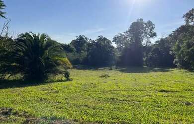 Imagem 2: Sítio Plano E Com Nascente Para Fazer Açude. ROB:364