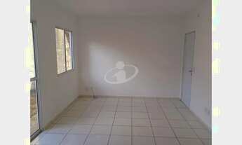 Imagem 5: Aluguel Casa JARDIM CALIFORNIA