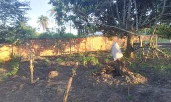 Imagem 3: Casa com terrenno