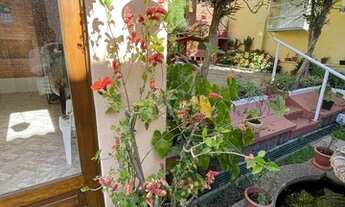 Imagem 5: Casa 3 dormitórios com uma 1 suite, 2 banheiros, terraço, bem iluminada. Próxima ao Shoppi