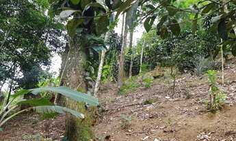 Imagem 4: Terreno no coração da serra de petrópolis