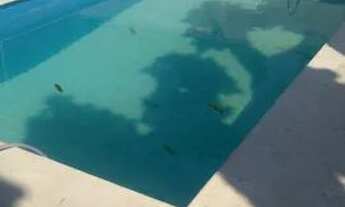 Imagem 2: Casa no Grajaú Casa com 5 dormitórios