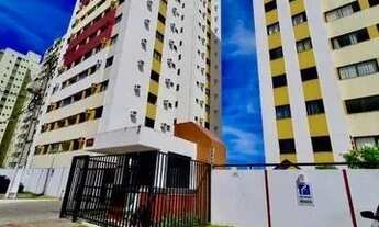 Imagem: Terra Brasilis - Oportunidade