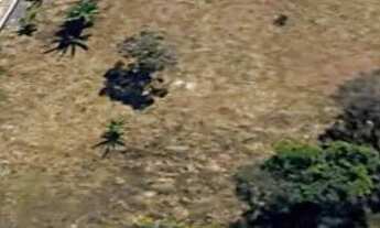 Imagem: Oportunidade Jardim Botânico!!!