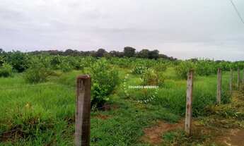 Imagem 7: Chácara com13.000 m², povoado do Trevo Zé Rosário, 14 km da Igrejinha