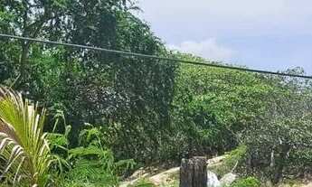 Imagem 2: Terreno c/ 4.480m², nascente, situação jurídica OK!, próximo ao Clube dos Diários, aceita