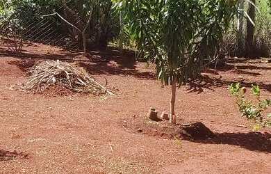 Imagem 6: Chácara com casa e piscina em Bonfinópolis
