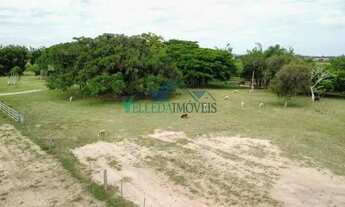 Imagem 7: Velleda oferece excelente fazenda de 46 hectares com estrutura em Viamão!