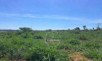 Imagem 2: Terra p/ plantio de lavouras, eucalipto, ou gado, 10 alqueires - Abadiânia - GO