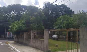 Imagem 4: Terreno em OLARIA com 529m2 Terreno em OLARIA com 529m2