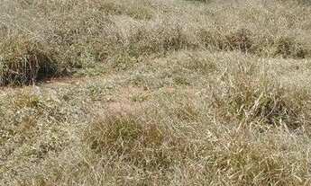 Imagem 5: Terreno à venda no Bairro do Rio Abaixo, na cidade de Tuiuti/SP