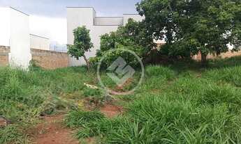 Imagem: ÁGIO LOTE! codigo 161740