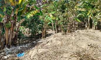 Imagem 5: Sítio do tio lima