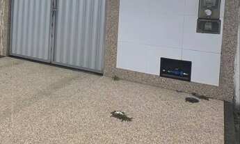 Imagem: Vendo Casa no Parque ipê