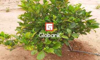 Imagem 2: Chácara em Bocaiúva, no bairro Zona Rural, à venda