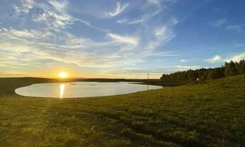 Imagem 7: Sítio à Venda em São Francisco de Paula!