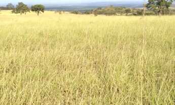 Imagem 2: Vende-se uma excelente fazenda de 530 hectares