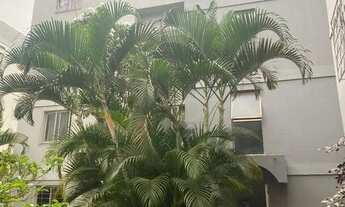 Imagem 7: Oportunidade Jardim Planalto