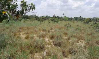 Imagem 5: Vendo terreno de chácara