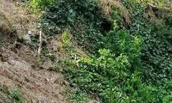 Imagem 2: TERRENO COMERCIAL em SÃO PAULO - SP, JARDIM JUSSARA