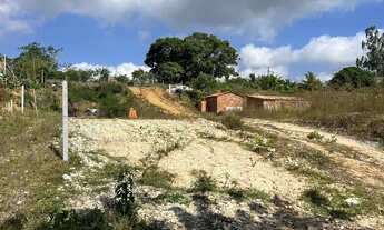 Imagem 2: Terreno 7x25 Alicerce feito recentemente