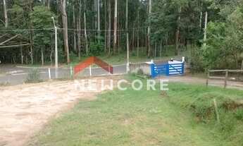 Imagem 5: Chácara em rua Sanches - Nova Aurora - São Pedro/SP