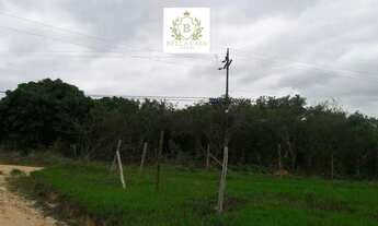 Imagem 6: Terreno de 2.000 m² à Venda em Morro Grande, Araruama Por R$180.000,00