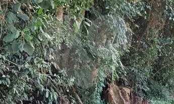 Imagem 3: Terreno à venda em Roseira - SP