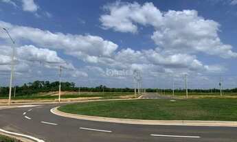Imagem 4: Loteamento Villa Imperial Teresina - BR 343 - Novo Uruguai - Lotes Residenciais e Comercia
