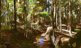 Imagem 3: Chácara em Morretes