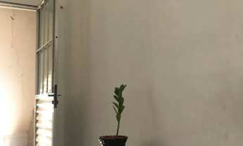 Imagem 6: Aluguel de casa Casa com 2 dormitórios