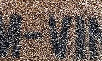 Imagem 7: Aluga-se consultórios em individual à partir de R$ 100,00 a diária - Dentista e Médico Mob