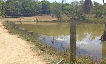 Imagem 6: Vende uma chácara a 75 km de Goiânia com 2 represa mais um rio no fundo
