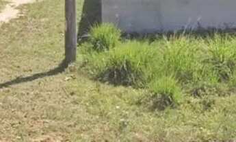 Imagem: Terreno em Unamar - 10.000