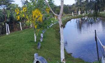 Imagem 6: Chácara em Nova Hartz