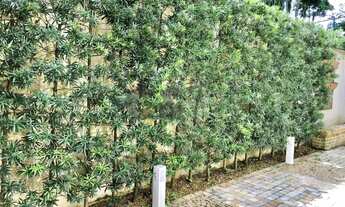 Imagem 5: Casa de Condomínio - 4 Dormitório (Suíte) à Venda ou para Alugar no Alto da Boa Vista - Sã